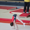 IMG_0526-web