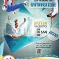 championnats_de_france_de_divisions_nationales_gymnastique_artistique_vendredi_24_mai_2013_large