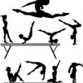 gym fred
