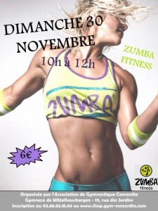 affichefinalnovembre-modif
