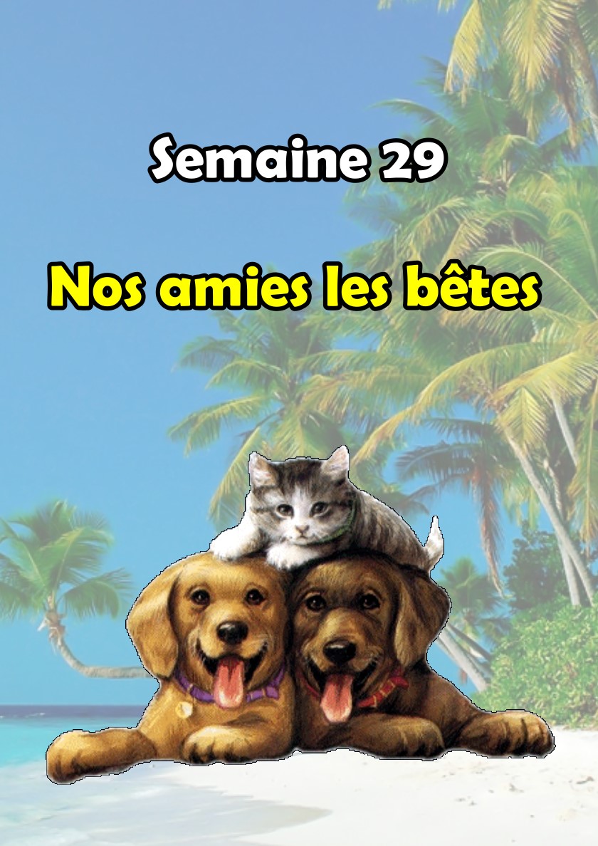 Semaine 29