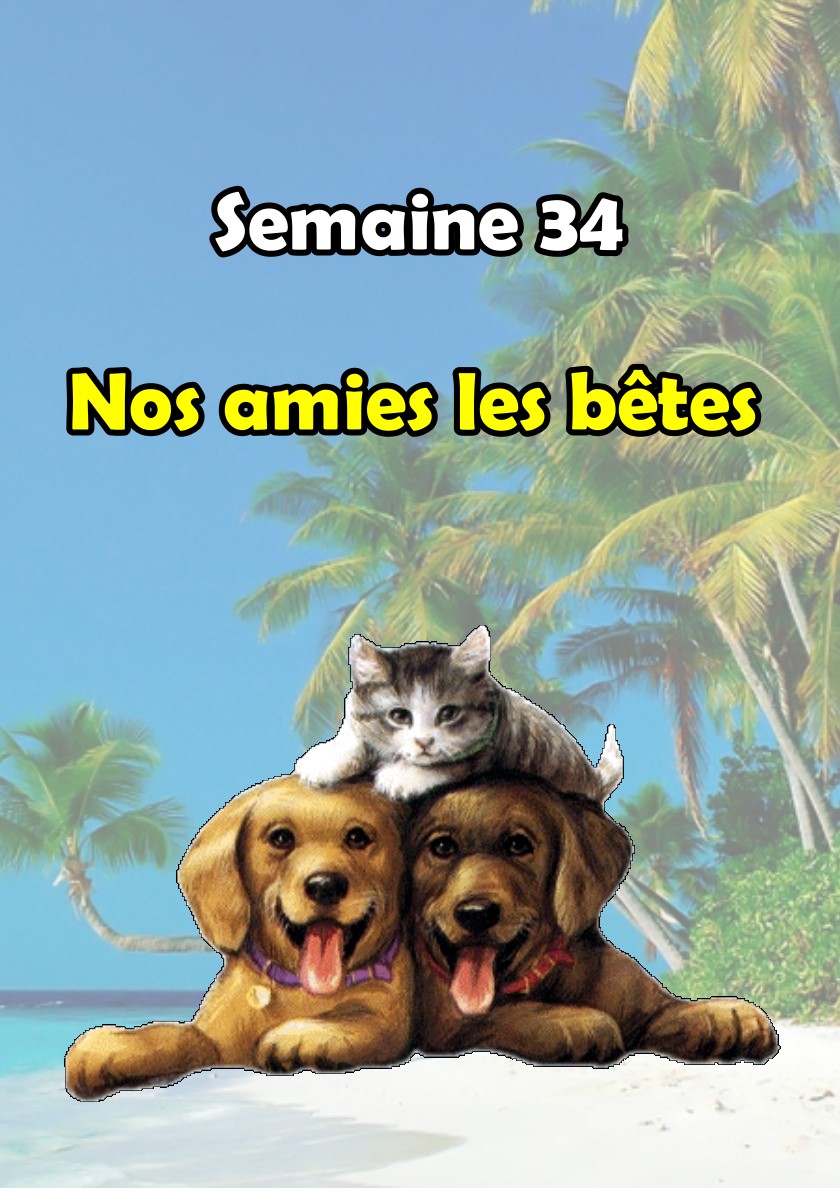 Semaine 34