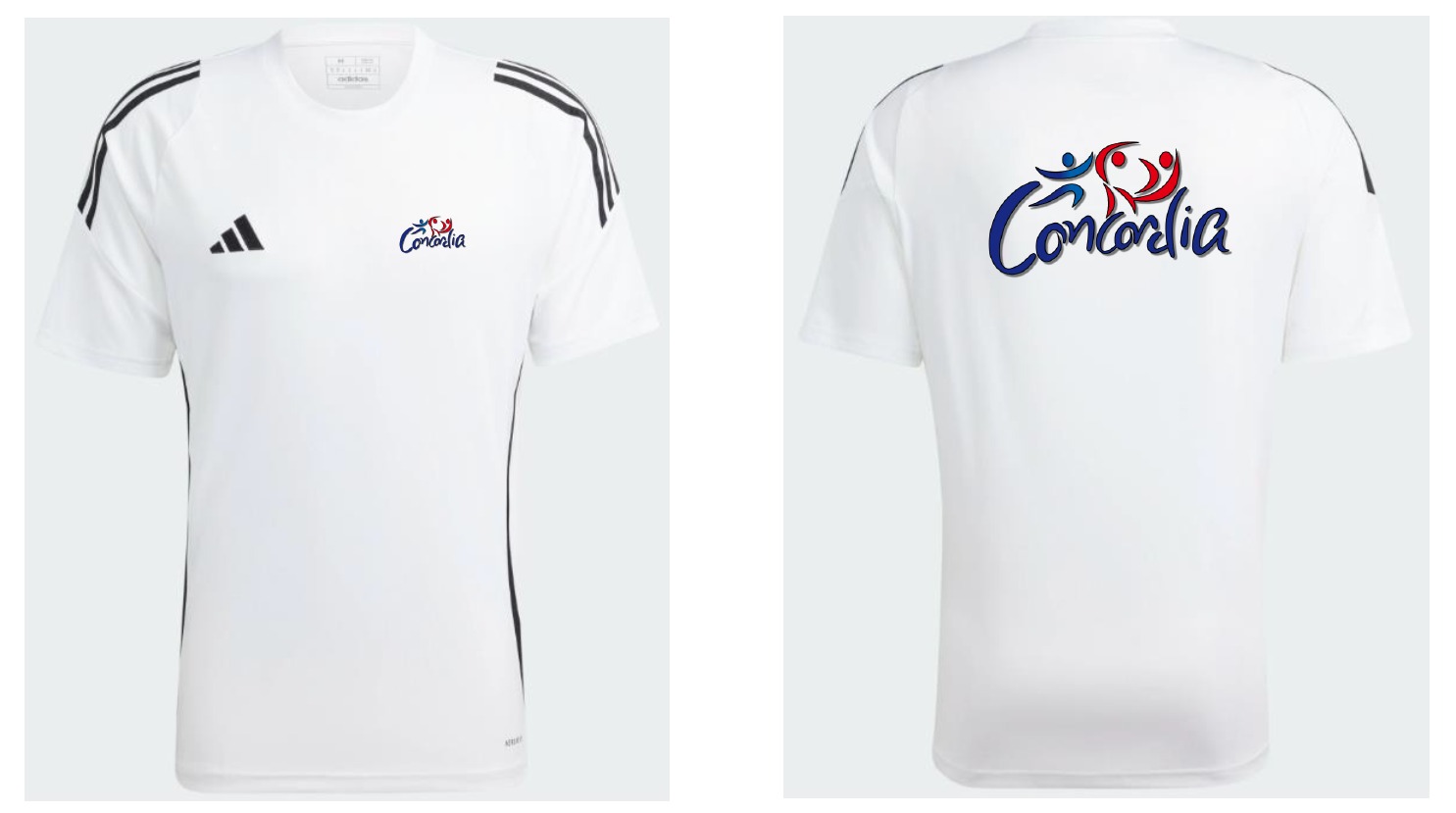 25-26 - Tenue T-Shirt Gym Concordia - Enfant